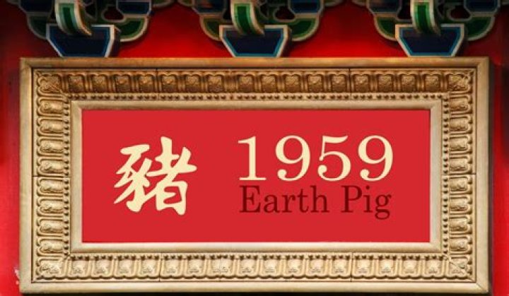 1959 Chinese Zodiac: Unveiling the Year of the Pig
