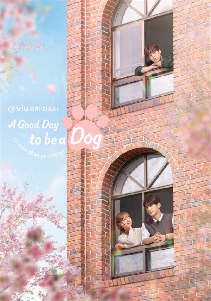 A Good Day to Be a Dog Reviews: An In-Depth Look at the Heartwarming Film