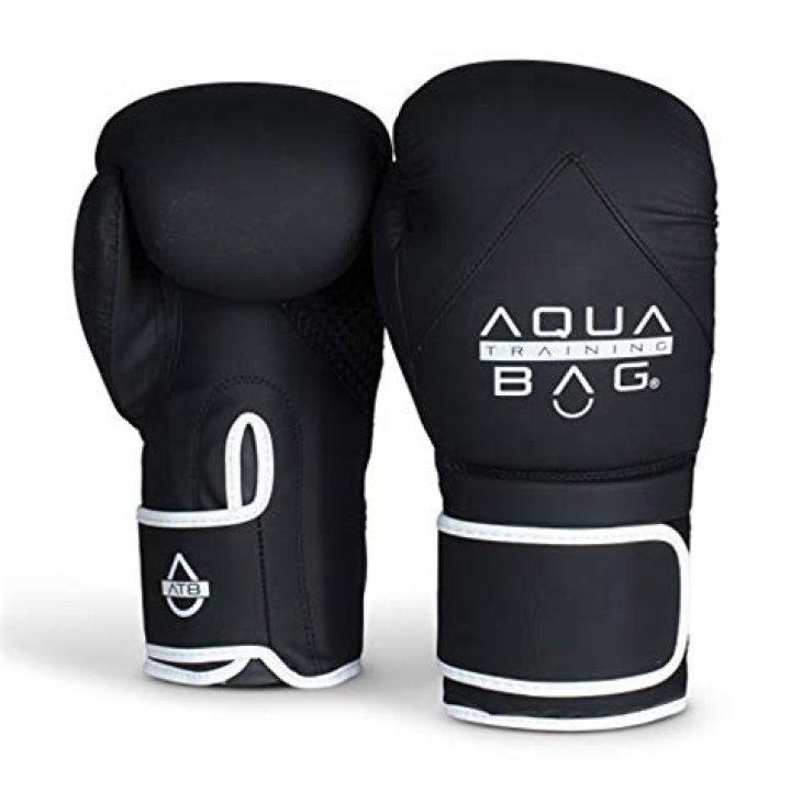 Aqua Boxing Gloves Net Worth: A Comprehensive Guide to the Brand's Success