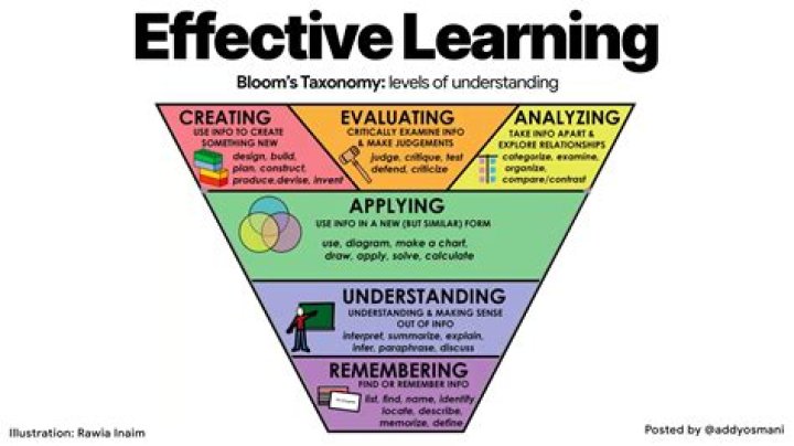 Bambidoe: A Comprehensive Guide to Understanding and Utilizing This Unique Concept