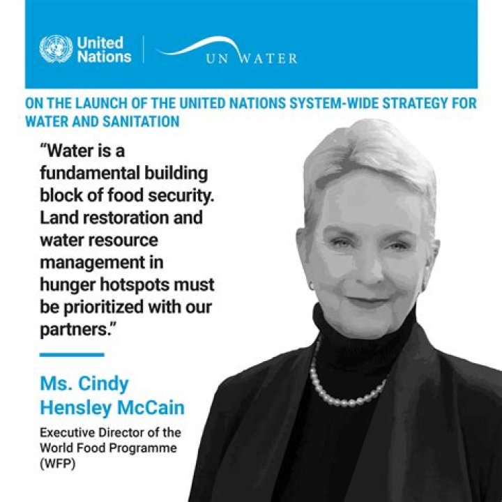 Cindy Lou Hensley McCain: A Remarkable Journey of Influence and Legacy