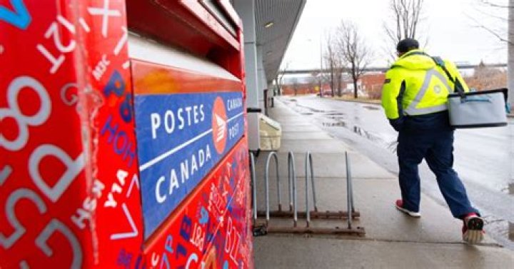 Exploring Canadian Tire Walker Road Windsor Ontario: Your Ultimate Guide