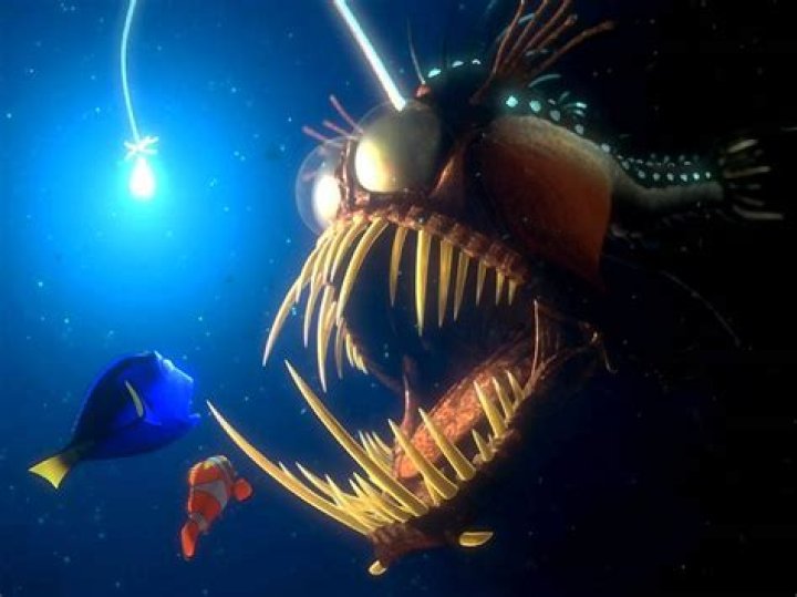 Finding Nemo Glow Fish: A Fascinating Underwater Adventure