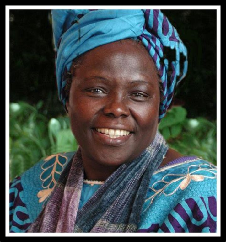 Gina Cabell: Unveiling the Life and Achievements of a Remarkable Figure