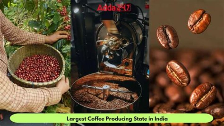 Global Delights Coffee Roasters: A Journey Through Exotic Coffee Flavors