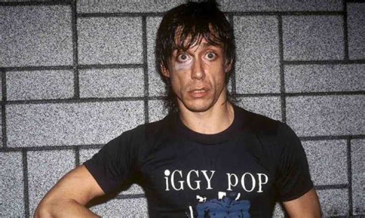 Iggy Pop Net Worth: A Deep Dive into the Godfather of Punk's Wealth