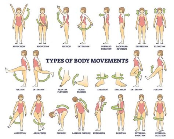 Mastering Functional Body Movement in Maplewood: A Comprehensive Guide