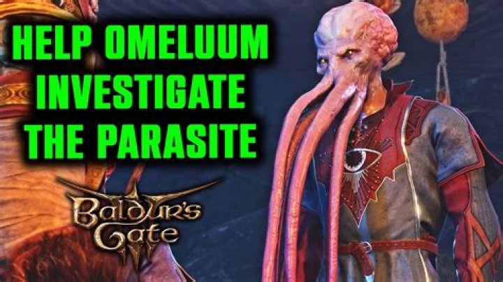 Omeluum: The Ultimate Guide to Understanding and Mastering This Trending Topic