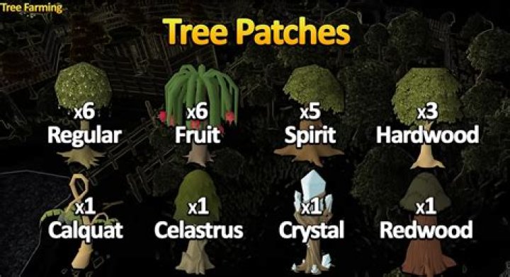 OSRS Farming Patches: A Comprehensive Guide to Mastering Farming in Old School RuneScape