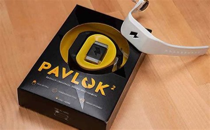 Pavlok Net Worth: A Comprehensive Guide to the Wealth and Success of the Controversial Wearable Tech