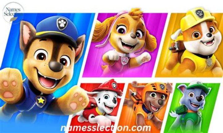 Paw Patrol Characters Names: Everything You Need to Know About the Beloved Heroes