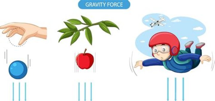 Phighting Grav: Mastering the Art of Gravity Defying Martial Arts