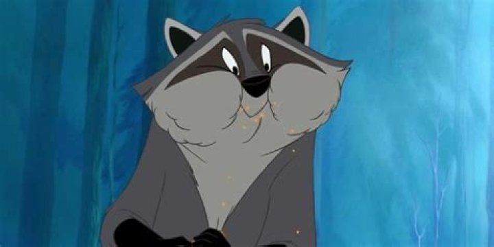 Raccoon in Pocahontas Name: Everything You Need to Know About Meeko