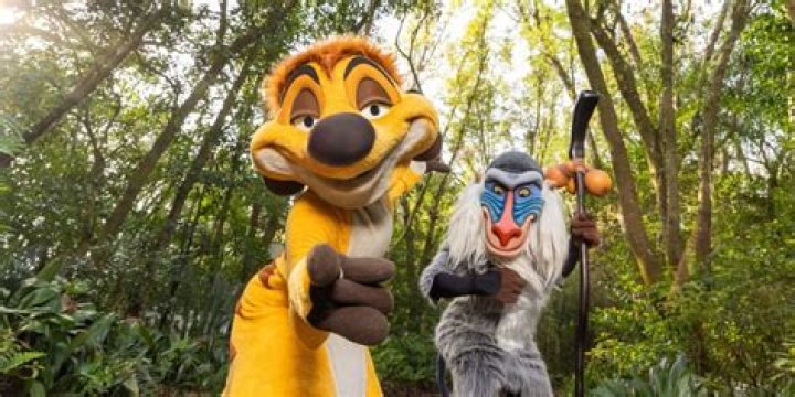 Rafiki Lion King: Exploring the Wise and Iconic Character in Disney's Masterpiece