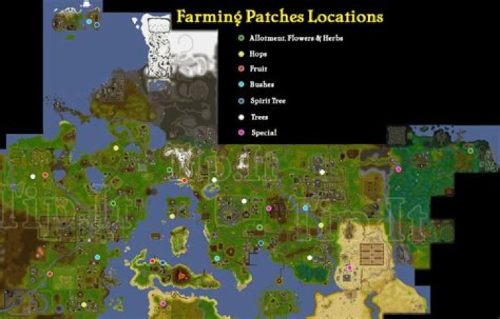 RuneScape Farming Patches: A Comprehensive Guide to Mastering Agriculture