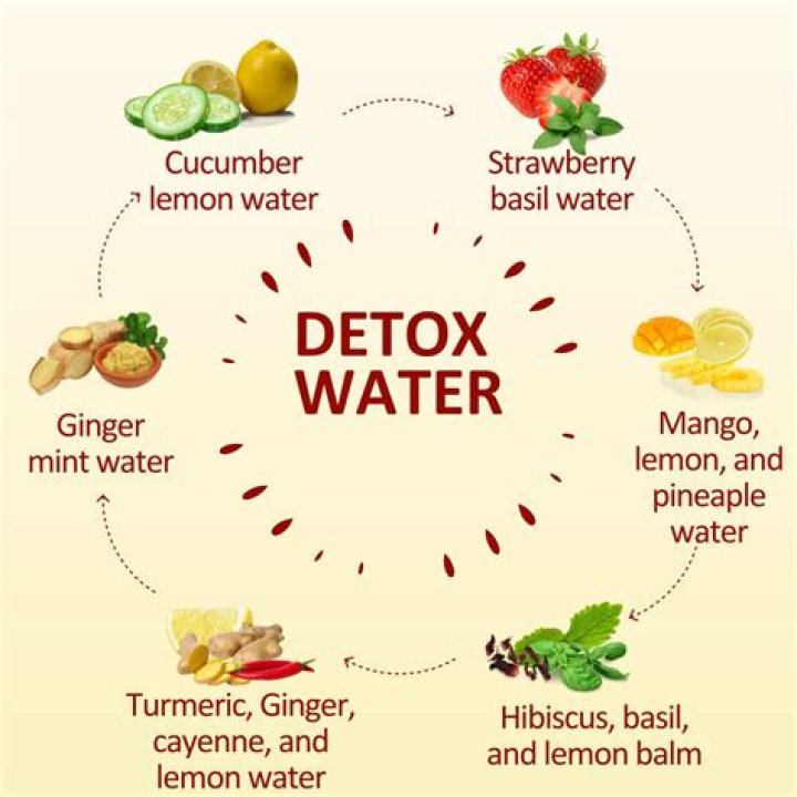 TRS Detox Ingredients: A Comprehensive Guide to Cleansing Your Body Naturally