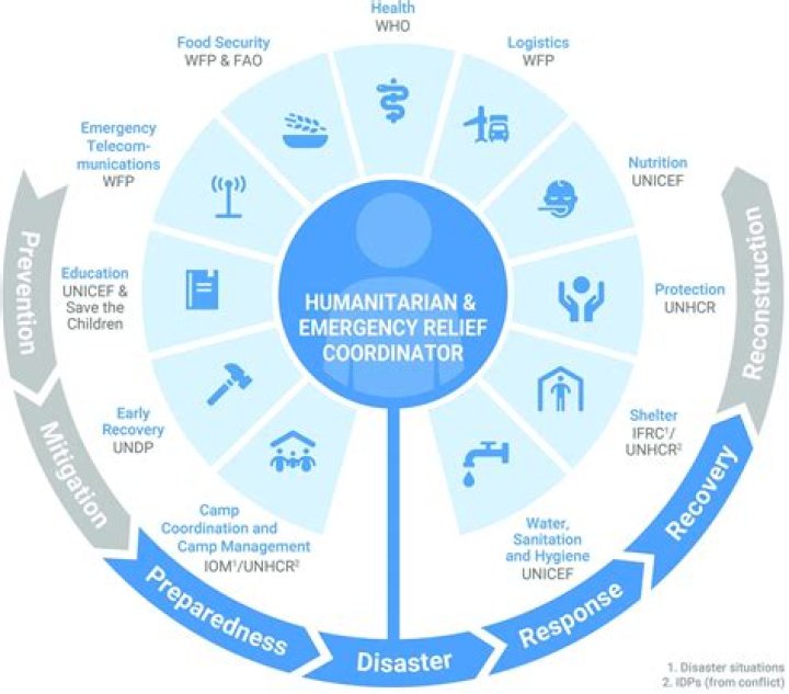 Understanding Humanitarian Aid and Its Impact: Insights from LDS Charities