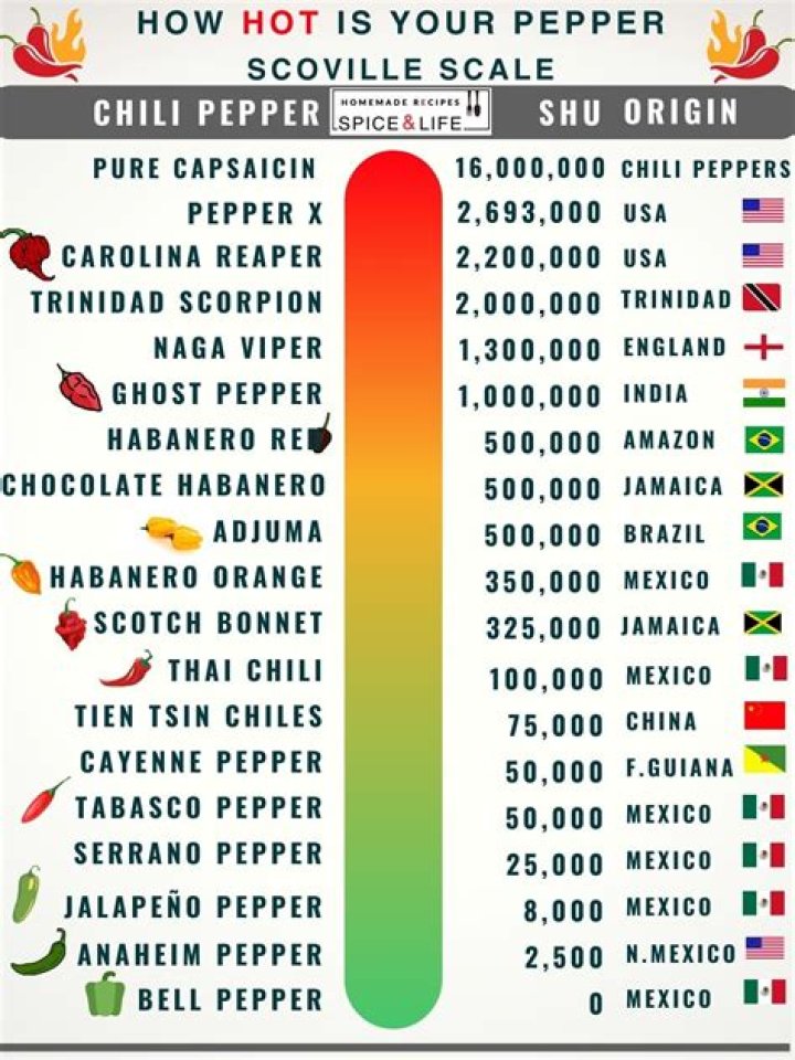 Understanding Logan Pepper Child: A Comprehensive Guide