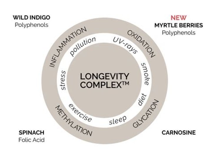 WakeWilders Age: Exploring the Fascinating World of Aging and Longevity