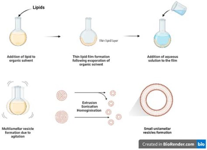 What is Gleeking? Understanding the Phenomenon and Its Implications