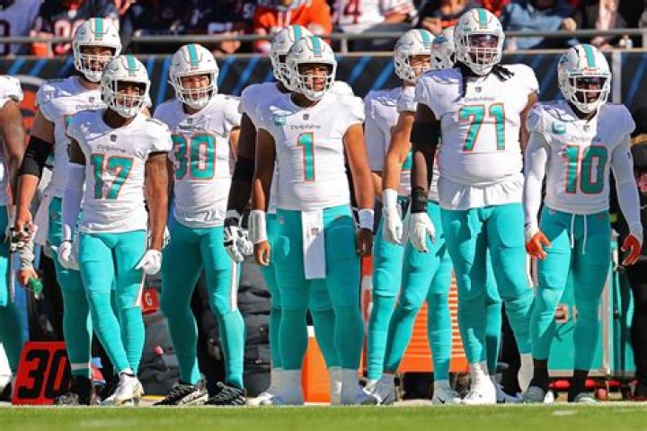 Who Founded the Miami Dolphins? A Comprehensive Guide to the Team's Origins