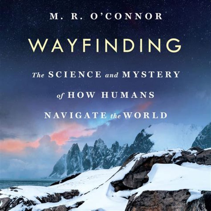 Why Do Humans Gleek: Unveiling the Science and Mystery Behind This Natural Phenomenon